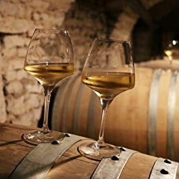 Découverte et dégustation du Chai Urbain BIO « La Cuve en Ville » au cœur de Dijon - La Fine Heure - DIJON