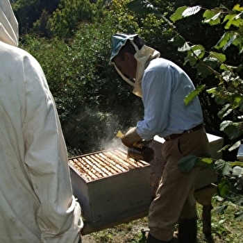 Couleurs Miel - MOUTHIER-HAUTE-PIERRE