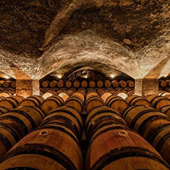 Château de Meursault - MEURSAULT