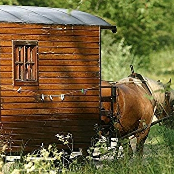 Balade en roulotte dans le Haut-Jura - Longcochon