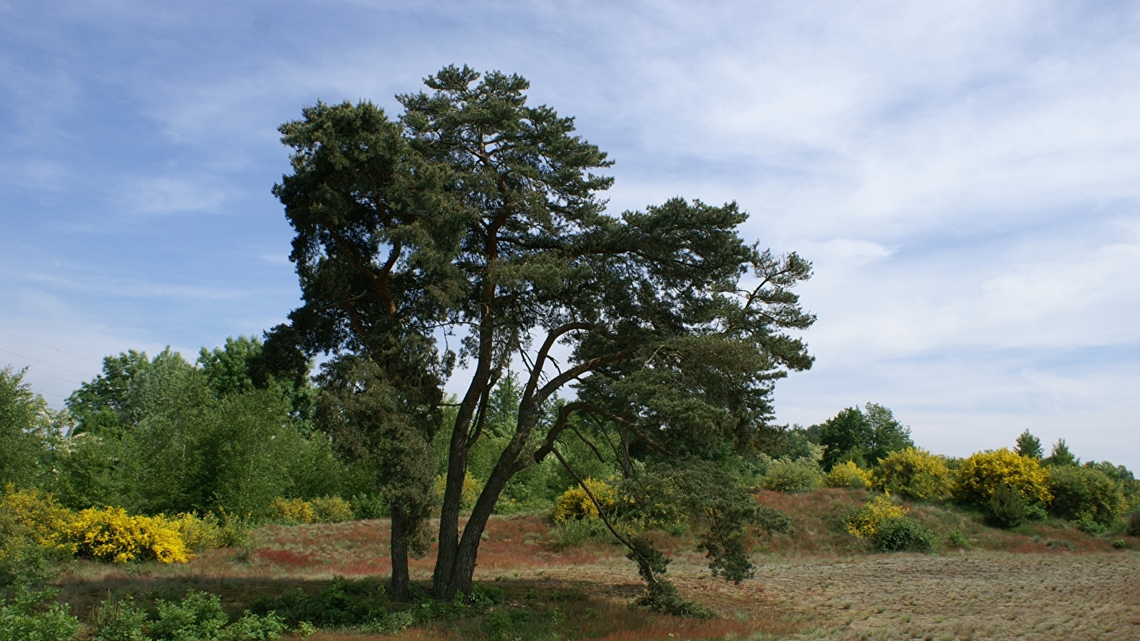 Boucle vélo loisirs de l'Ain à vélo : Dunes et bocage