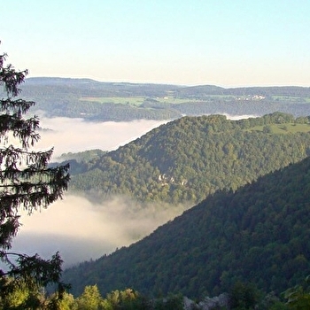 Point de vue la Rançonnière - SAINT-JULIEN-LES-RUSSEY