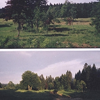 Arboretum du lavot - FOURNETS-LUISANS