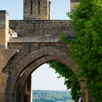 La rando scolaire de Thizy-Montréal - MONTREAL