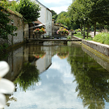 La Combe Marey - IS-SUR-TILLE