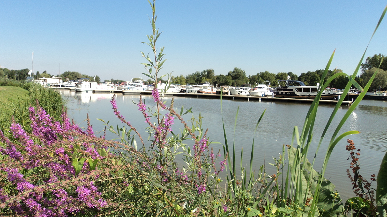 Aire de pique-nique - Bord de Saône