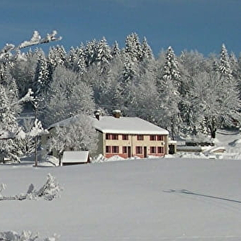 Améthyste - LAMOURA