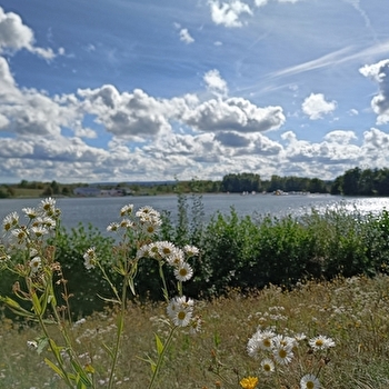 Les Étangs, les canaux et les bornes - BROGNARD