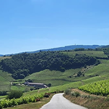 Immersion totale en Bourgogne du Sud - VINZELLES