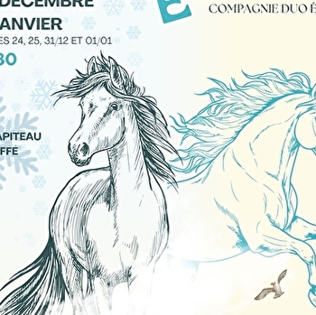 Spectacle Équestre de Noël  - CLUNY