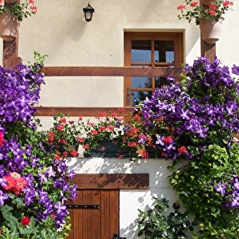 Le Bleuet - Le Clos de la Perdrix - BELLENOT-SOUS-POUILLY