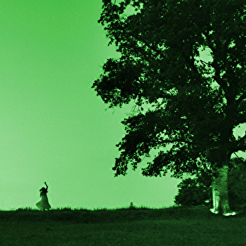 Le bouquet des sorcières - CLUNY