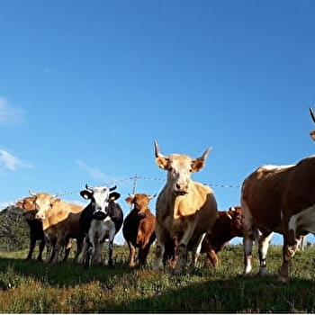 Ferme du Mont Bonnet - ETUEFFONT