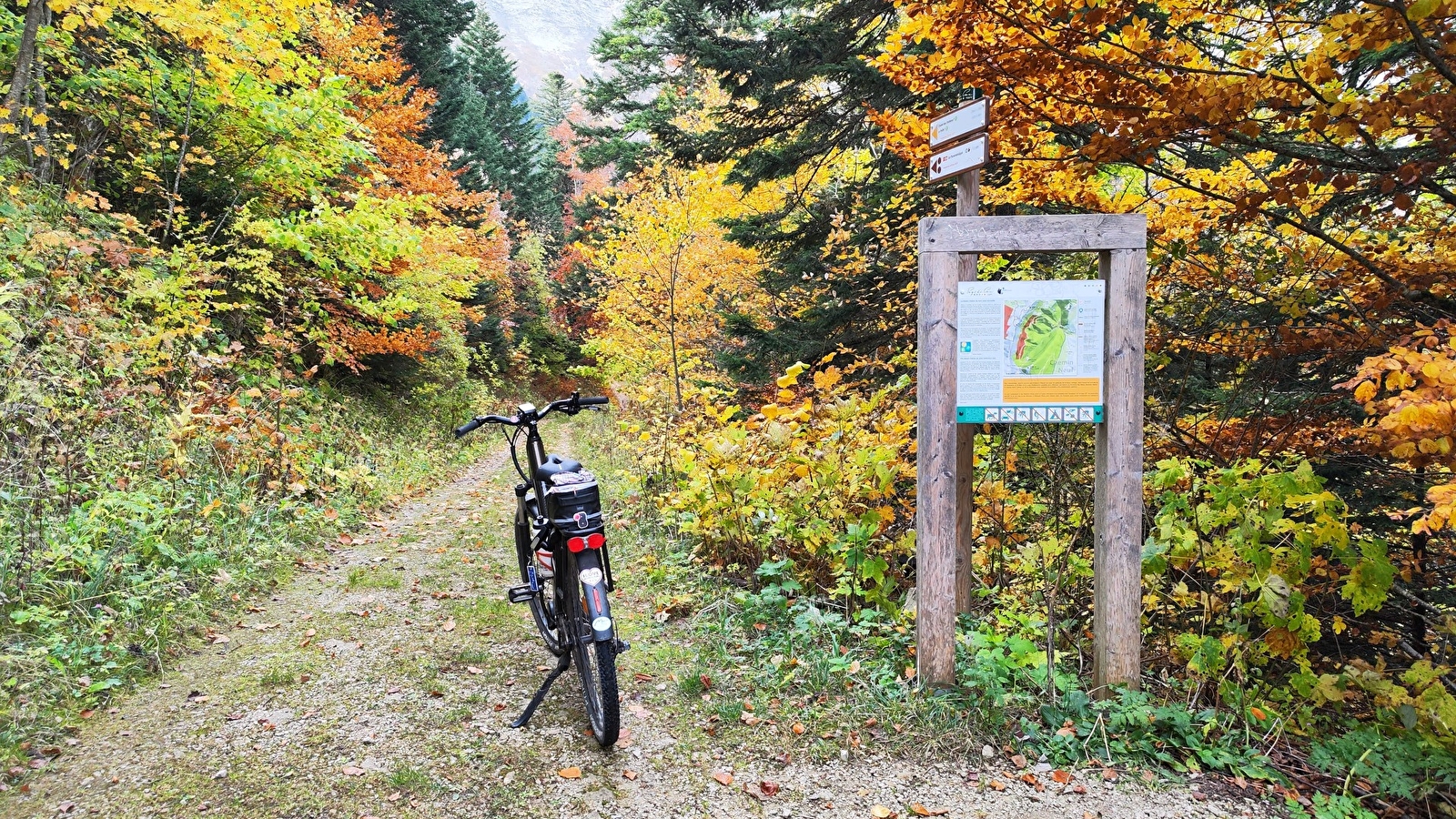 Parcours VTTAE 86 - rouge - La Panoramique - Espace VTT FFC Ain Forestière
