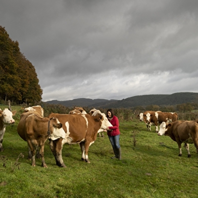 La Ferme des Montigots