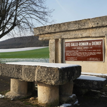 Villa gallo-romaine de Diénay - DIENAY