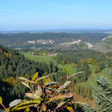 Roche Sarrazine - n°1