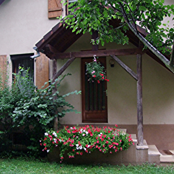 Les Ecureuils - BELFORT