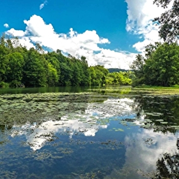 Le marais de Saône - SAONE
