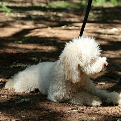 Démonstration de cavage suivie d'une dégustation - by La Maison aux Mille Truffes