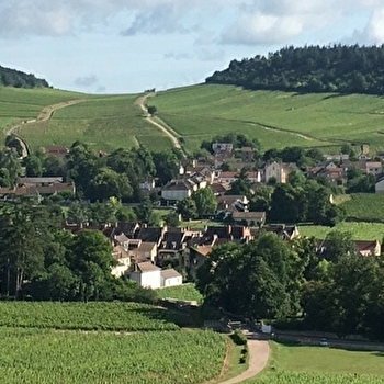 Madame DUPONNOIS Christine - MERCUREY