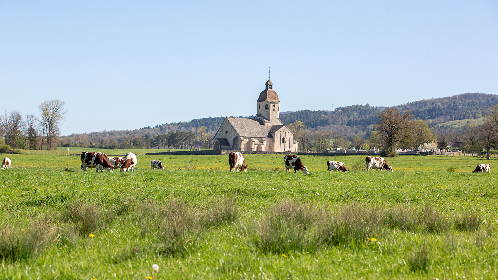 Les Gorges de la Valouse - 50B