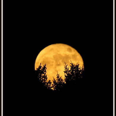 Balade nocturne _ENS2026  'sur réservation'