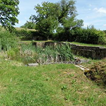 Sentier d'interprétation du Magny - PIERRECOURT