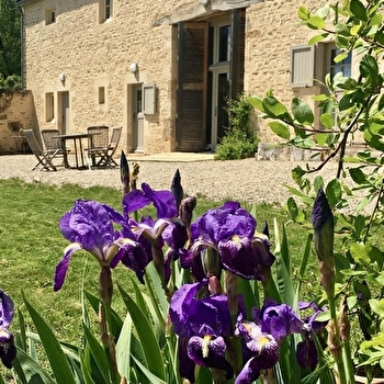 Céline - Domaine de Charmois - AVOT