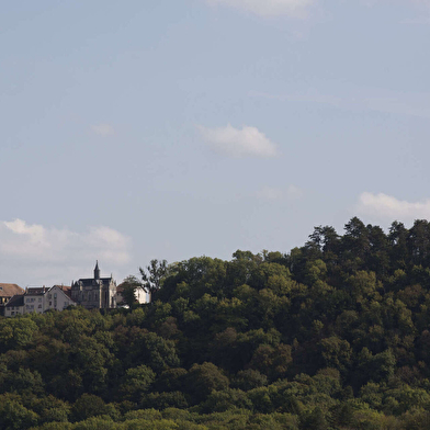La Biodiversité au fil de la Via Francigena