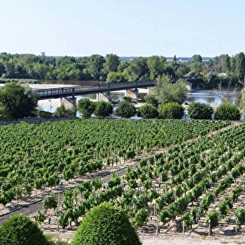 Gîte Loire et Vignoble - POUILLY-SUR-LOIRE