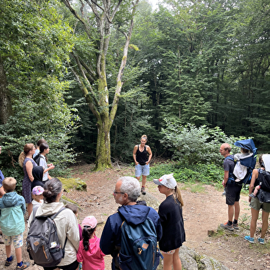 Balade contée - Les légendes du Morvan