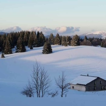 Alpage du Levant - SEPTMONCEL LES MOLUNES