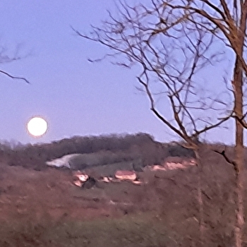 La Bruyerette - UXEAU