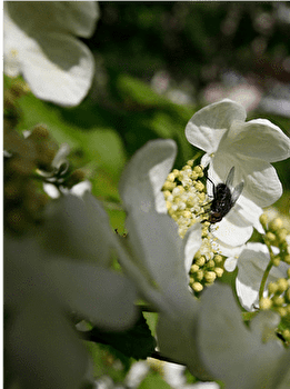Circuit VTT n°57 / Vorges-les-Pins - VORGES-LES-PINS
