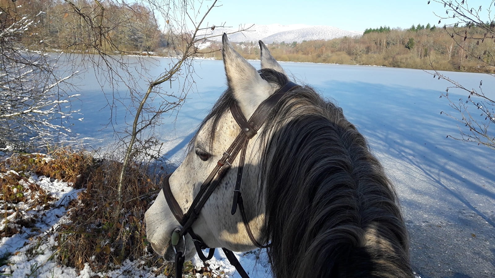 Les sabots dans l'eau