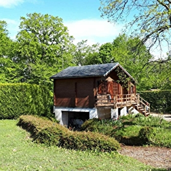 Le Murmure de la Forêt - THURY