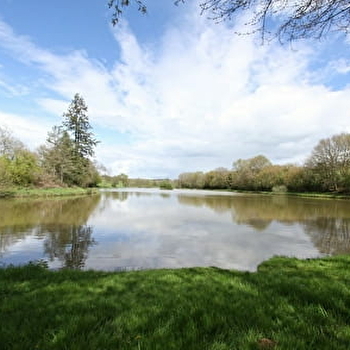 Moulin Foulon 'Gîte du Meunier' ** - MONT