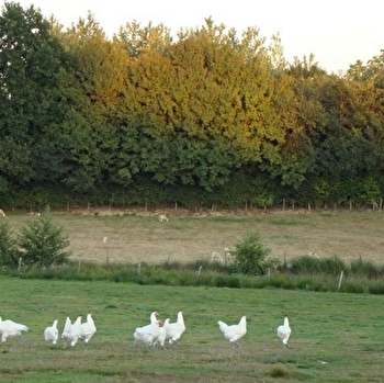 Maison Marquis - VARENNES-SAINT-SAUVEUR