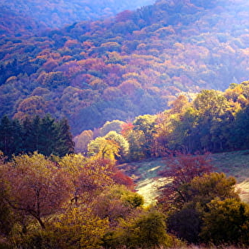 Aire de pique-nique de Bellevue - LA CELLE-EN-MORVAN
