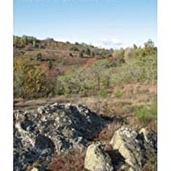 La lande de la Chaume - LE CREUSOT