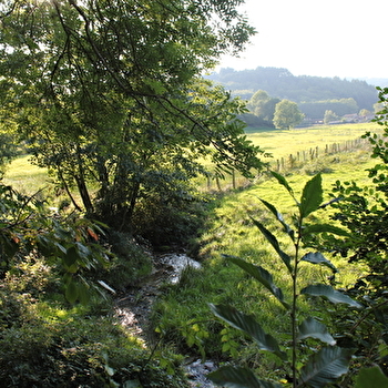 Le Beaujolais - Entre vignes et forêts - Boucle 5.3 - BEAUJEU