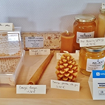 Les belles ouvrières - Apiculture - CHAMPLITTE