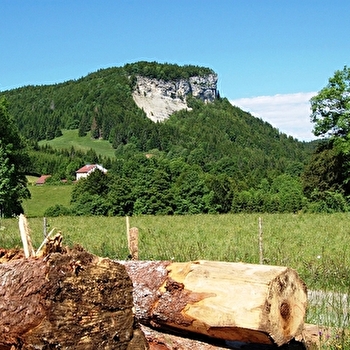 Le Pont Perroud - PREMANON