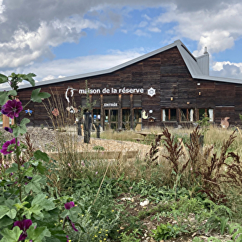 Maison de la Réserve - LABERGEMENT-SAINTE-MARIE