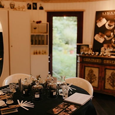 Les cinq sens au jardin : la vue