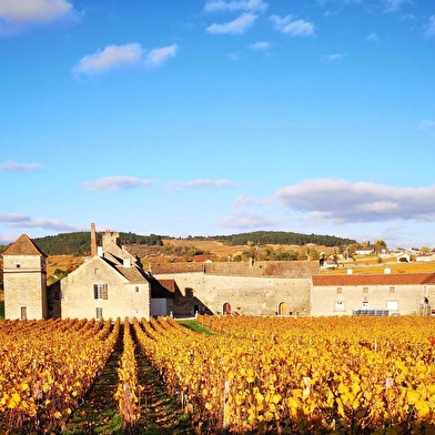 Clos du Moulin aux Moines