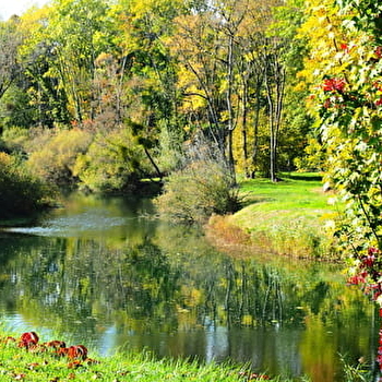Lac de Marcilly-sur-Tille - MARCILLY-SUR-TILLE