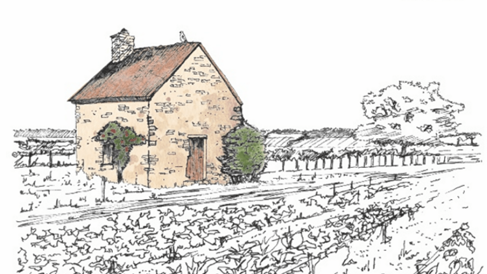 Domaine Servy-Douhay