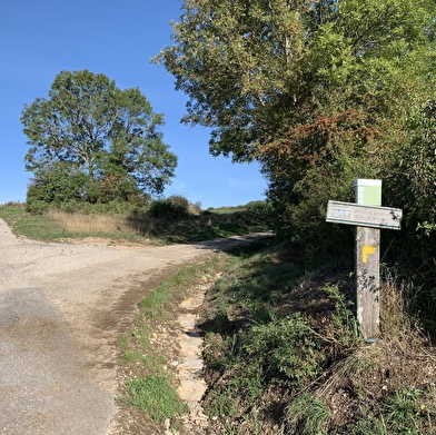 Randonnée - Sentier de mémoire d'Evosges